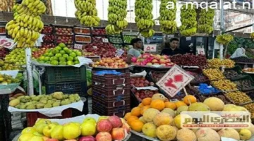 تطورات جديدة في أسعار الفاكهة الطازجة والمستوردة بمواقيت الأقصر خلال تعاملات الثلاثاء